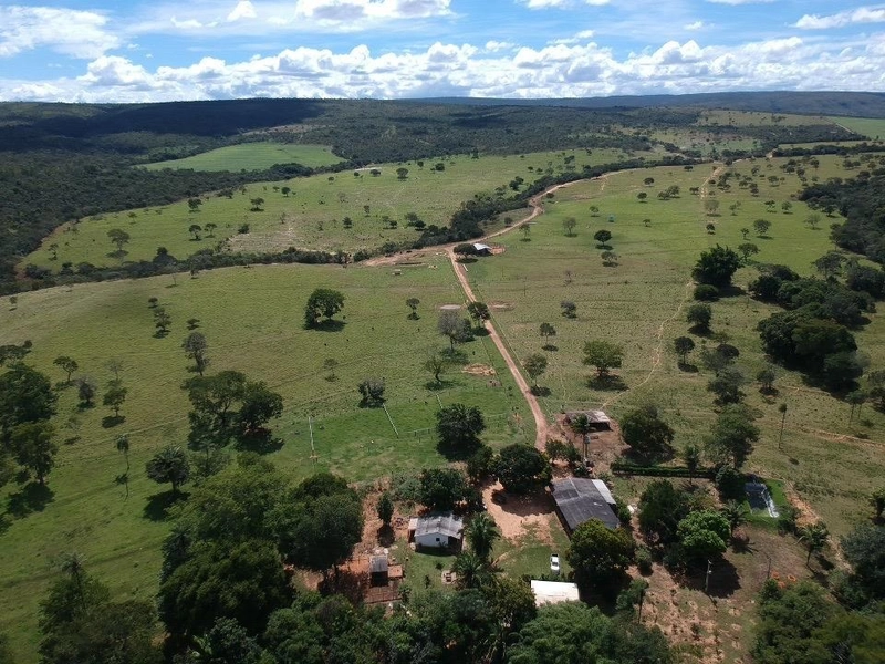 Fazenda 53,72 alqueires (260 Ha), em Alto Paraiso-GO, dupla aptidão.: 27ª foto da galeria de imagens do imóvel