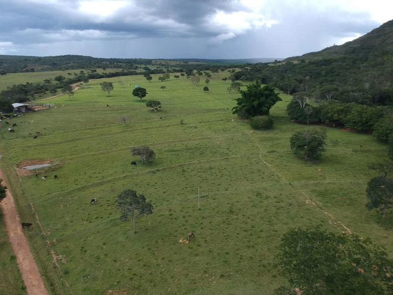 Fazenda 53,72 alqueires (260 Ha), em Alto Paraiso-GO, dupla aptidão.: 5ª foto da galeria de imagens do imóvel