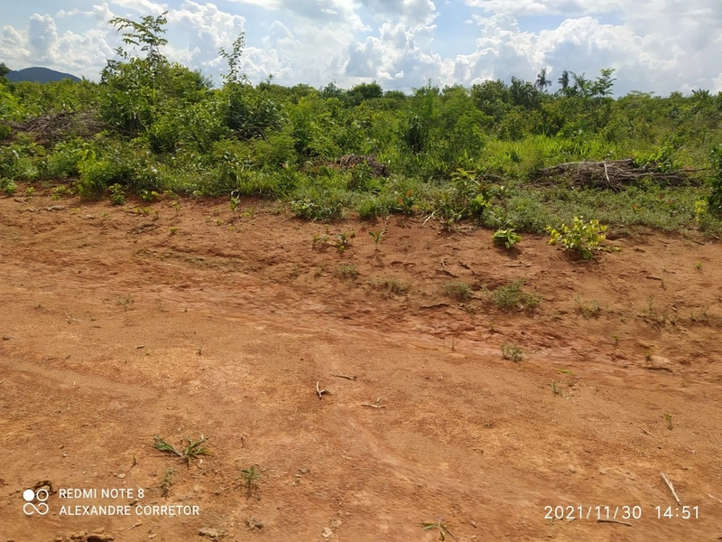 Fazenda 900 alqueires (4.356 Ha), em Santana do Araguaia-PA, Dupla apt: 17ª foto da galeria de imagens do imóvel