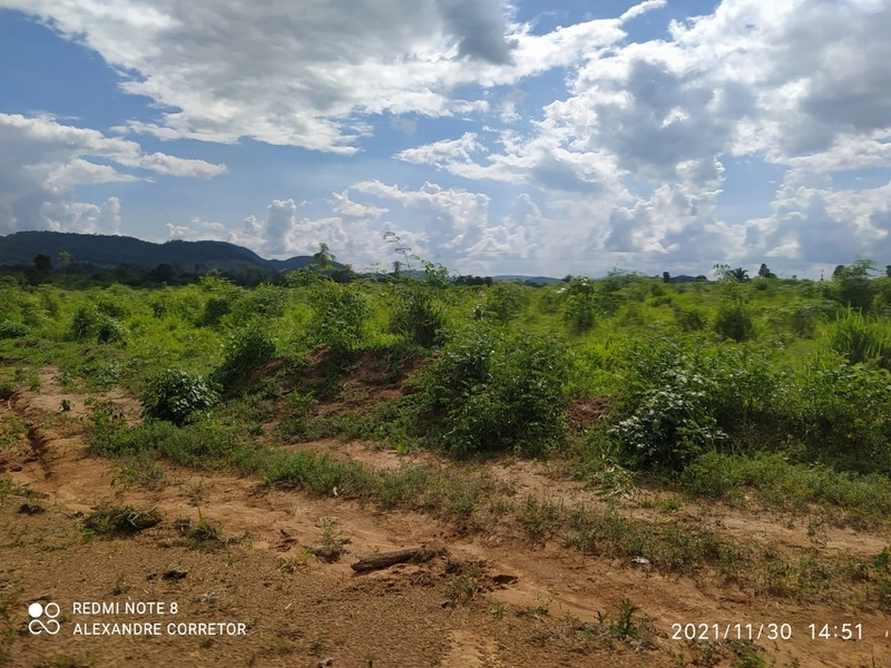Fazenda 900 alqueires (4.356 Ha), em Santana do Araguaia-PA, Dupla apt: 13ª foto da galeria de imagens do imóvel