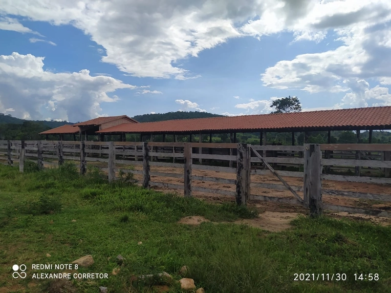 Fazenda 900 alqueires (4.356 Ha), em Santana do Araguaia-PA, Dupla apt: 3ª foto da galeria de imagens do imóvel