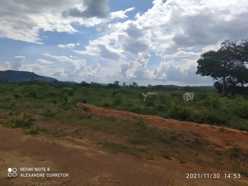 Fazenda 900 alqueires (4.356 Ha), em Santana do Araguaia-PA, Dupla apt: 8ª foto da galeria de imagens do imóvel