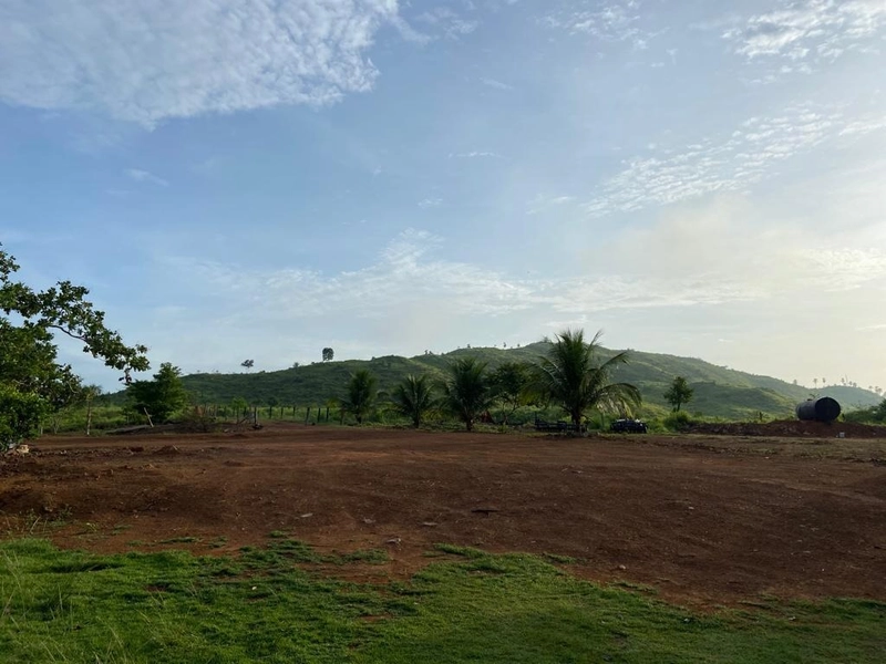 Fazenda 900 alqueires (4.356 Ha), em Santana do Araguaia-PA, Dupla apt: 21ª foto da galeria de imagens do imóvel