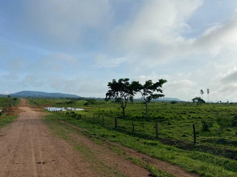 Fazenda 900 alqueires (4.356 Ha), em Santana do Araguaia-PA, Dupla apt: 24ª foto da galeria de imagens do imóvel