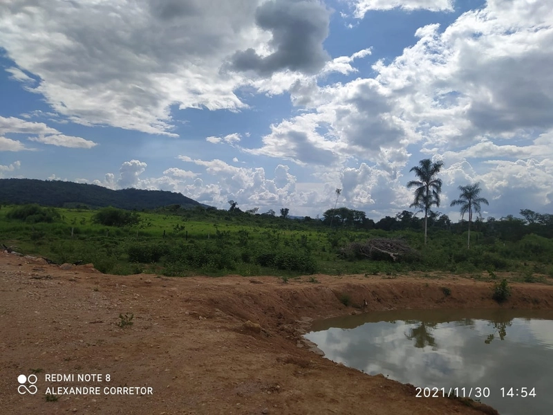 Fazenda 900 alqueires (4.356 Ha), em Santana do Araguaia-PA, Dupla apt: 7ª foto da galeria de imagens do imóvel