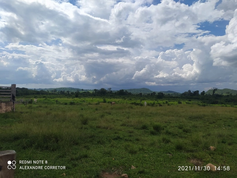 Fazenda 900 alqueires (4.356 Ha), em Santana do Araguaia-PA, Dupla apt: 1ª foto da galeria de imagens do imóvel
