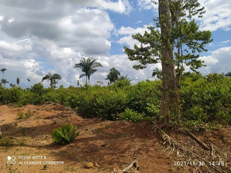 Fazenda 900 alqueires (4.356 Ha), em Santana do Araguaia-PA, Dupla apt: 20ª foto da galeria de imagens do imóvel