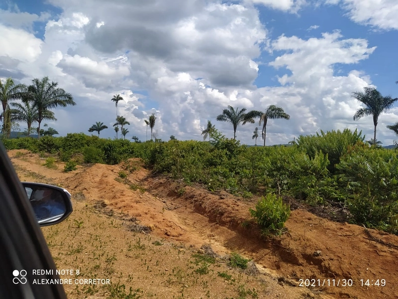Fazenda 900 alqueires (4.356 Ha), em Santana do Araguaia-PA, Dupla apt: 12ª foto da galeria de imagens do imóvel
