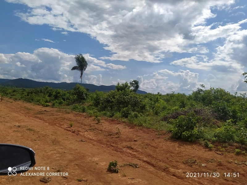 Fazenda 900 alqueires (4.356 Ha), em Santana do Araguaia-PA, Dupla apt: 9ª foto da galeria de imagens do imóvel