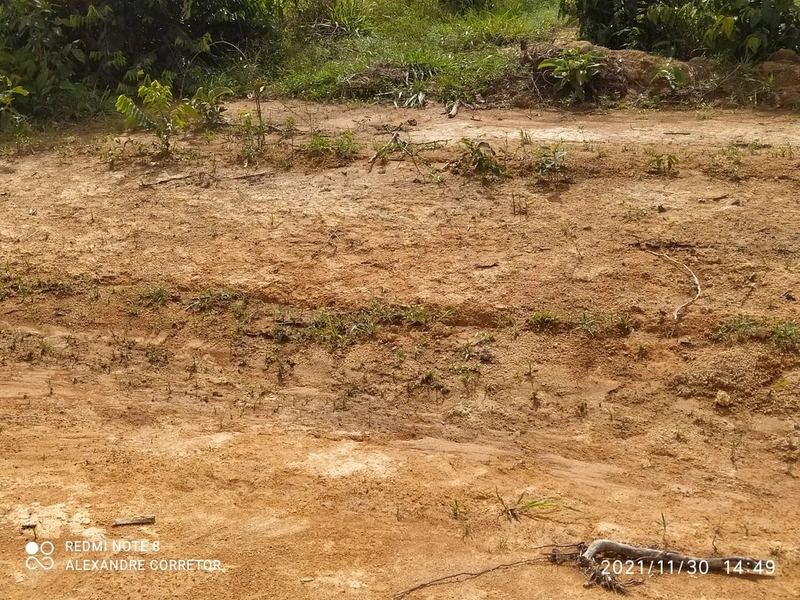 Fazenda 900 alqueires (4.356 Ha), em Santana do Araguaia-PA, Dupla apt: 15ª foto da galeria de imagens do imóvel