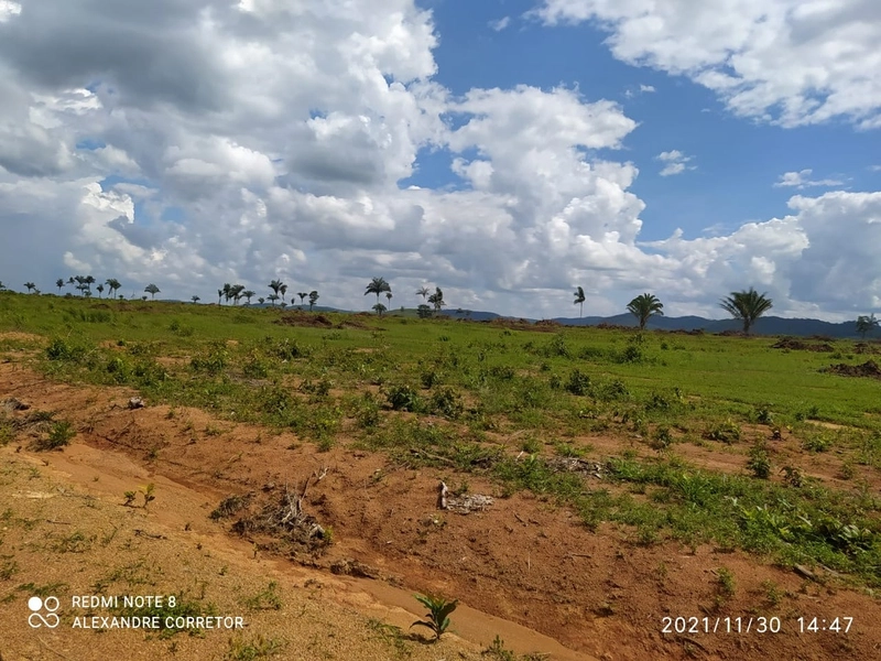 Fazenda 900 alqueires (4.356 Ha), em Santana do Araguaia-PA, Dupla apt: 16ª foto da galeria de imagens do imóvel
