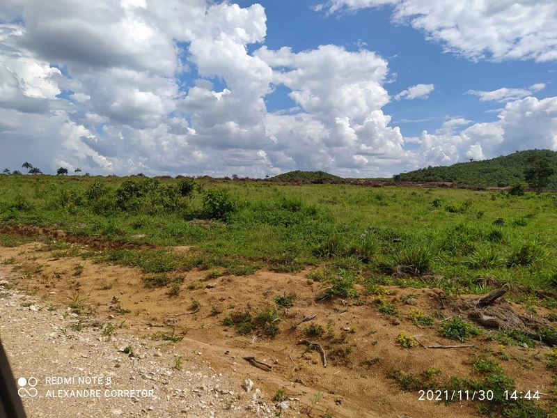 Fazenda 900 alqueires (4.356 Ha), em Santana do Araguaia-PA, Dupla apt: 19ª foto da galeria de imagens do imóvel