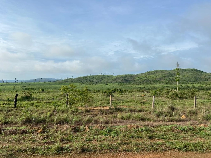 Fazenda 900 alqueires (4.356 Ha), em Santana do Araguaia-PA, Dupla apt: 25ª foto da galeria de imagens do imóvel