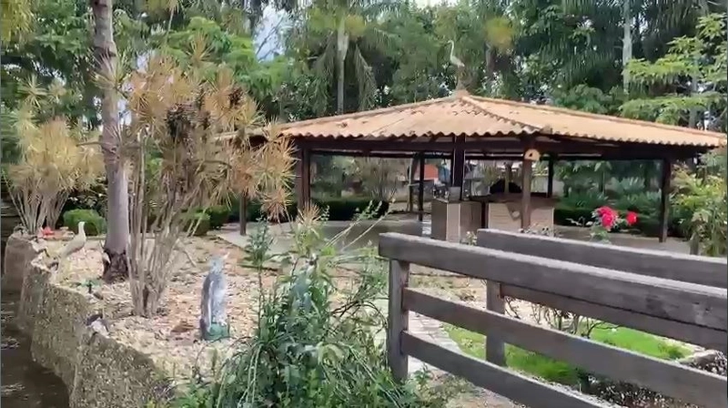Fazenda 32,02 alqueires (155 Ha), em Novo Gama-GO, Dupla aptidão.: 16ª foto da galeria de imagens do imóvel