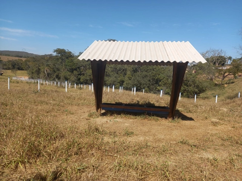 Fazenda 32,02 alqueires (155 Ha), em Novo Gama-GO, Dupla aptidão.: 21ª foto da galeria de imagens do imóvel