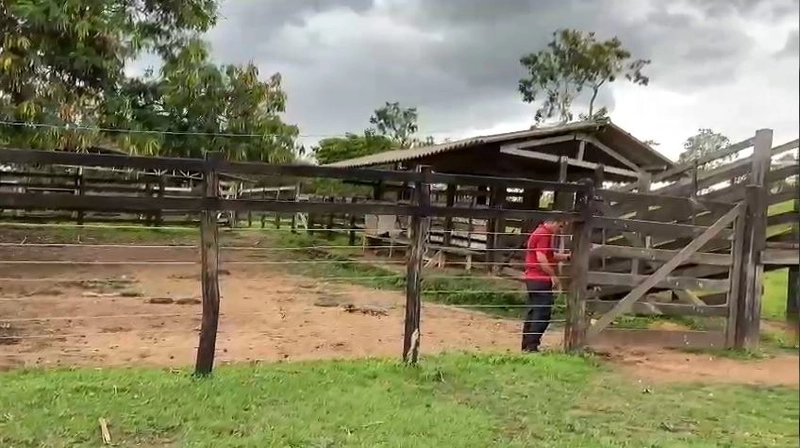 Fazenda 32,02 alqueires (155 Ha), em Novo Gama-GO, Dupla aptidão.: 10ª foto da galeria de imagens do imóvel