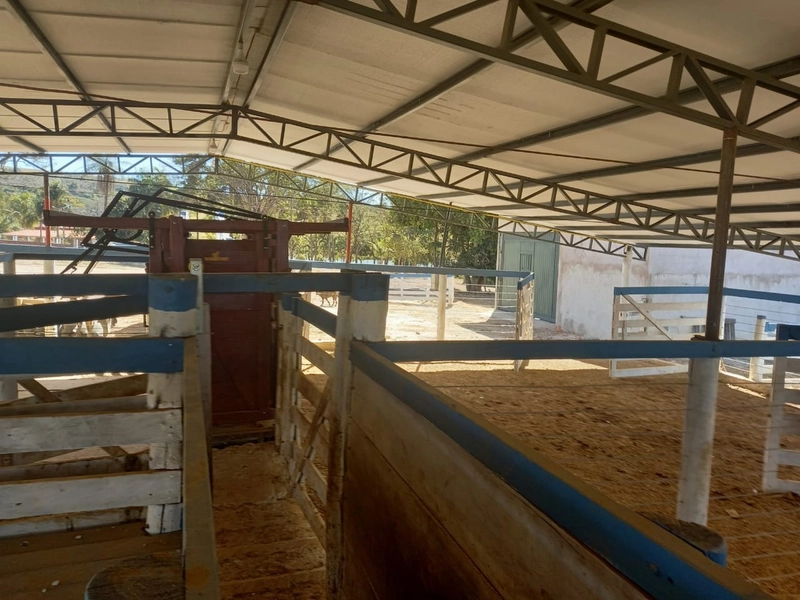 Fazenda 32,02 alqueires (155 Ha), em Novo Gama-GO, Dupla aptidão.: 20ª foto da galeria de imagens do imóvel