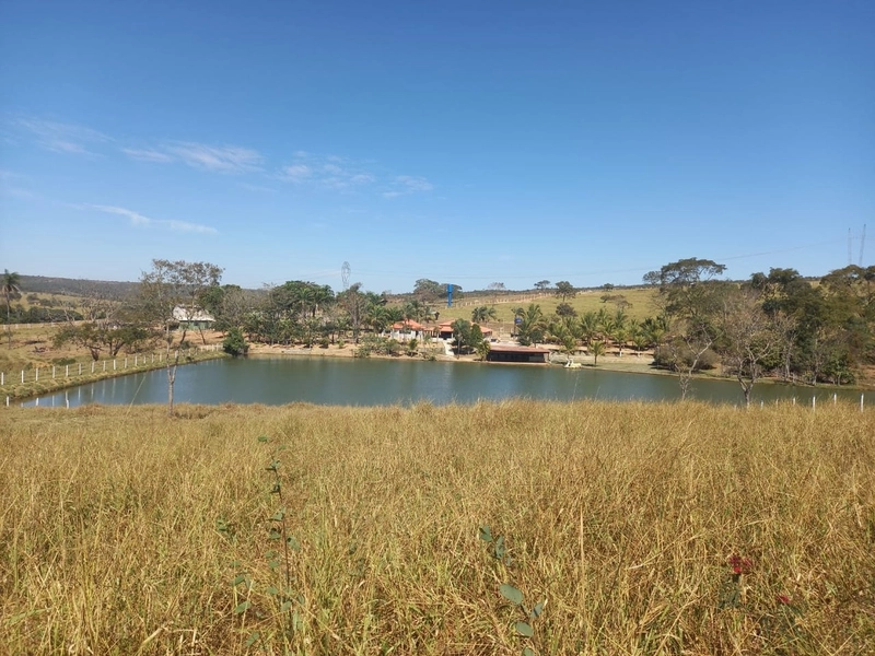 Fazenda 32,02 alqueires (155 Ha), em Novo Gama-GO, Dupla aptidão.: 23ª foto da galeria de imagens do imóvel