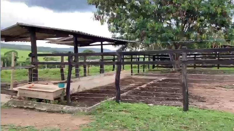 Fazenda 32,02 alqueires (155 Ha), em Novo Gama-GO, Dupla aptidão.: 9ª foto da galeria de imagens do imóvel