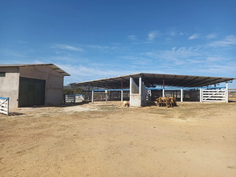Fazenda 32,02 alqueires (155 Ha), em Novo Gama-GO, Dupla aptidão.: 22ª foto da galeria de imagens do imóvel