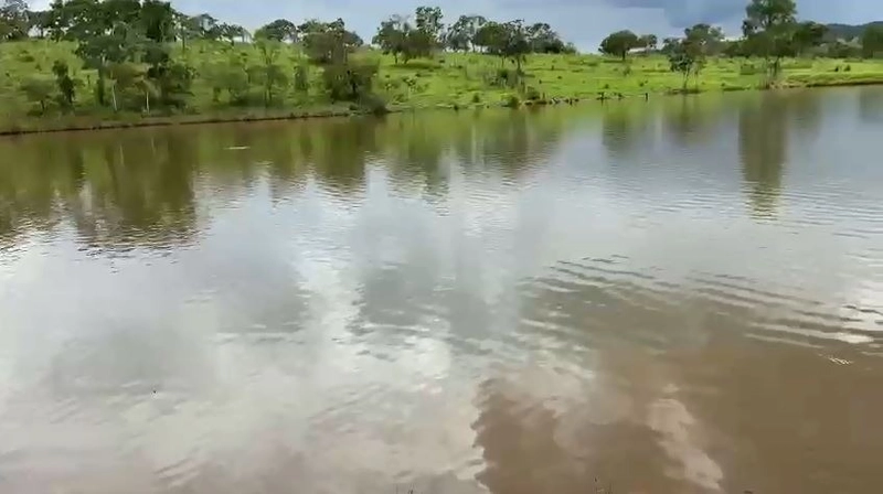Fazenda 32,02 alqueires (155 Ha), em Novo Gama-GO, Dupla aptidão.: 13ª foto da galeria de imagens do imóvel
