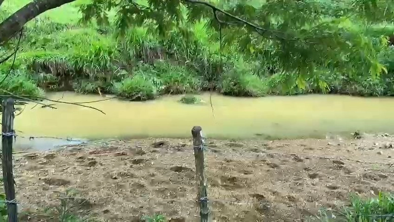 Fazenda 32,02 alqueires (155 Ha), em Novo Gama-GO, Dupla aptidão.: 19ª foto da galeria de imagens do imóvel