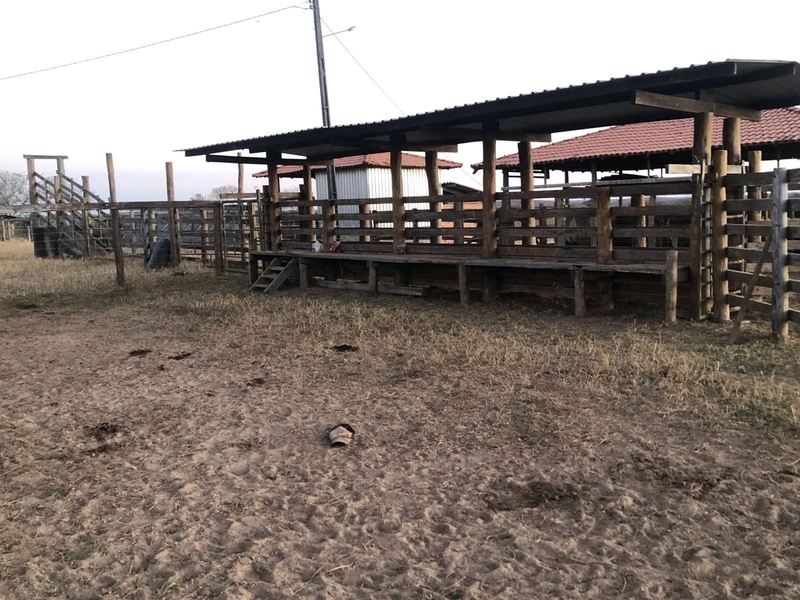 Fazenda 203 ha para pecuária em Buritinópolis-GO, toda formada.: 1ª foto da galeria de imagens do imóvel
