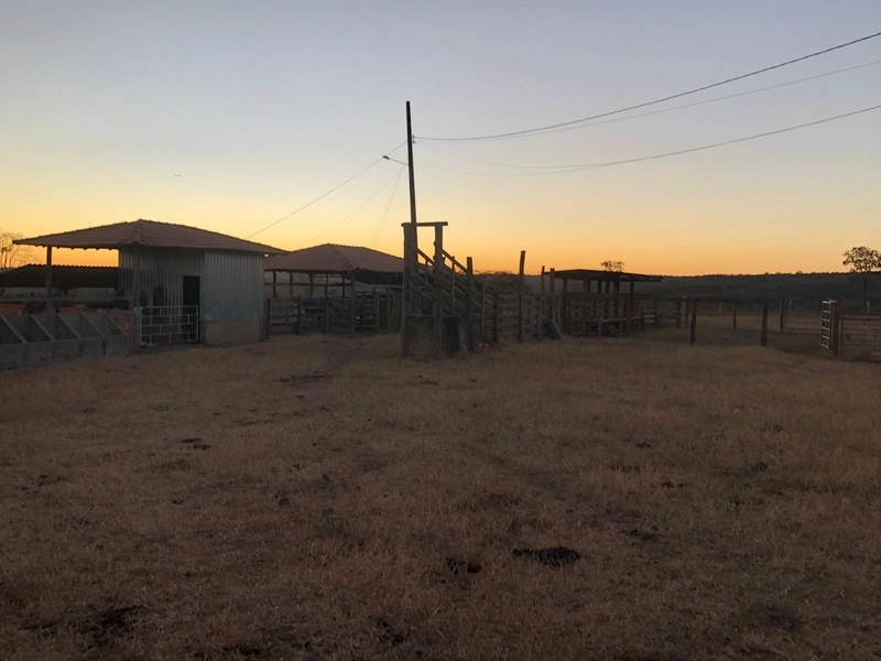 Fazenda 203 ha para pecuária em Buritinópolis-GO, toda formada.: 7ª foto da galeria de imagens do imóvel