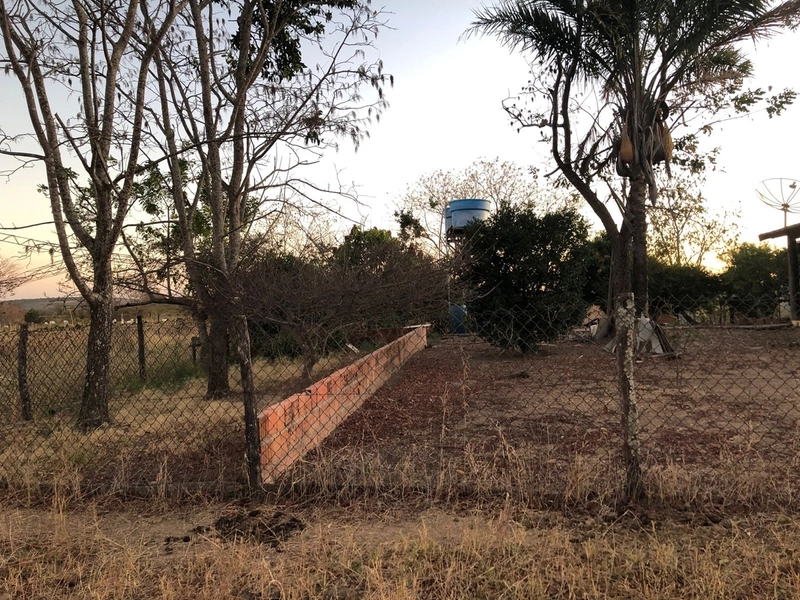 Fazenda 203 ha para pecuária em Buritinópolis-GO, toda formada.: 4ª foto da galeria de imagens do imóvel