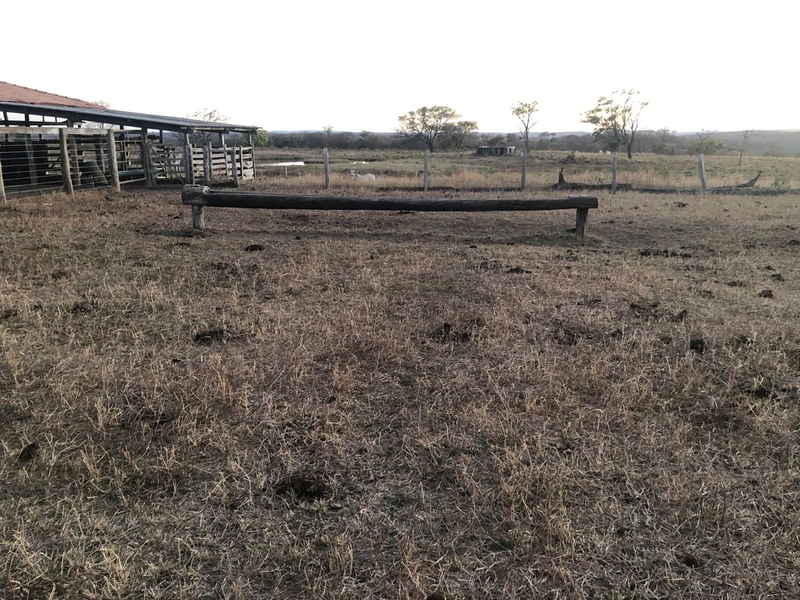 Fazenda 203 ha para pecuária em Buritinópolis-GO, toda formada.: 12ª foto da galeria de imagens do imóvel