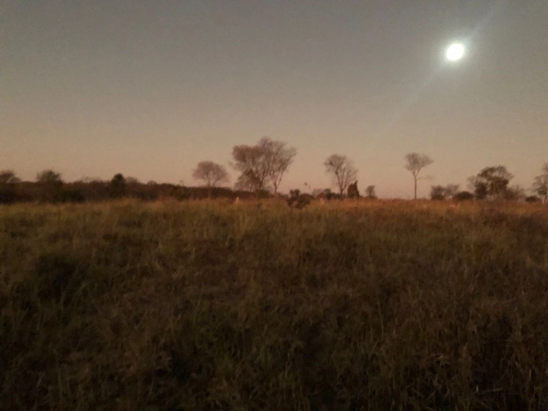 Fazenda 203 ha para pecuária em Buritinópolis-GO, toda formada.: 15ª foto da galeria de imagens do imóvel