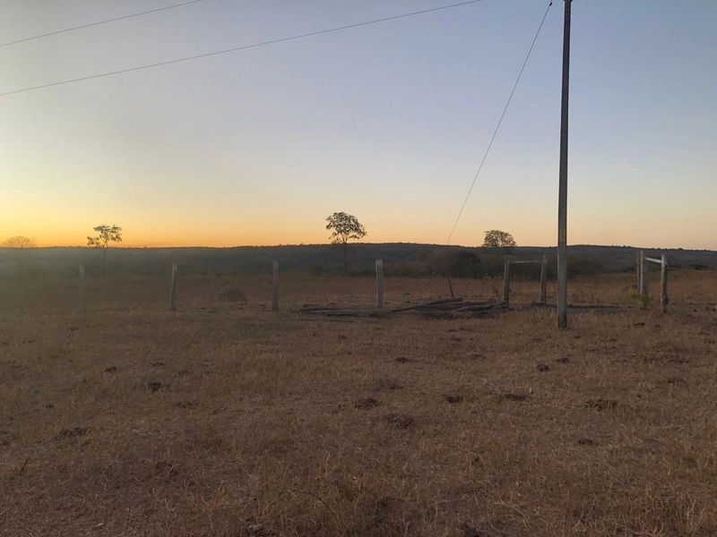 Fazenda 203 ha para pecuária em Buritinópolis-GO, toda formada.: 11ª foto da galeria de imagens do imóvel