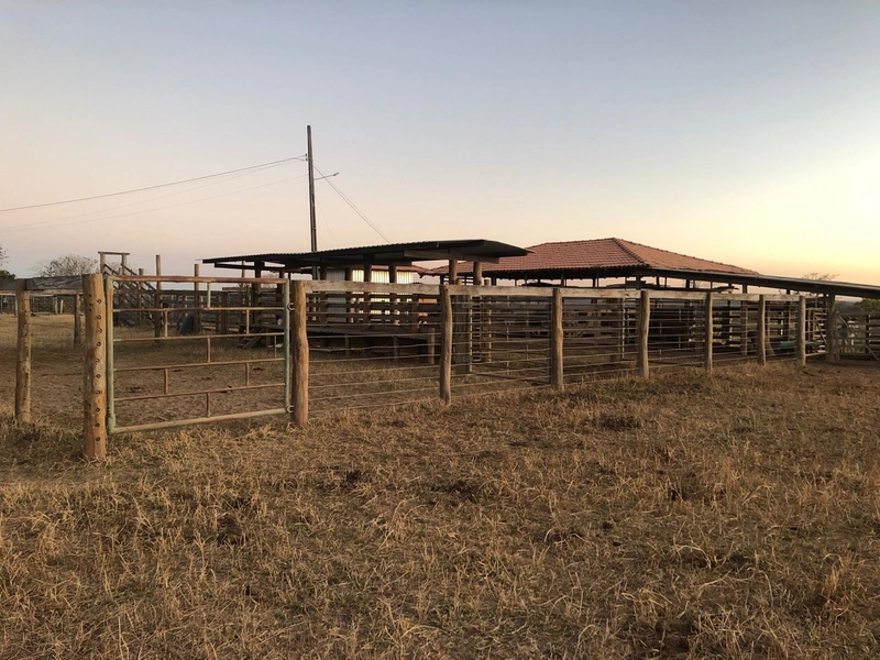 Fazenda 203 ha para pecuária em Buritinópolis-GO, toda formada.: 9ª foto da galeria de imagens do imóvel