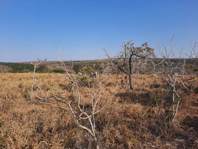 Fazenda em S.J.d’Aliança-GO/Água Fria-GO: 7ª foto da galeria de imagens do imóvel