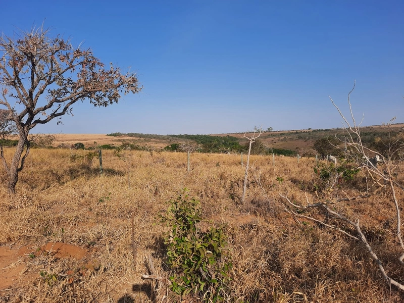 Fazenda em S.J.d’Aliança-GO/Água Fria-GO: 4ª foto da galeria de imagens do imóvel