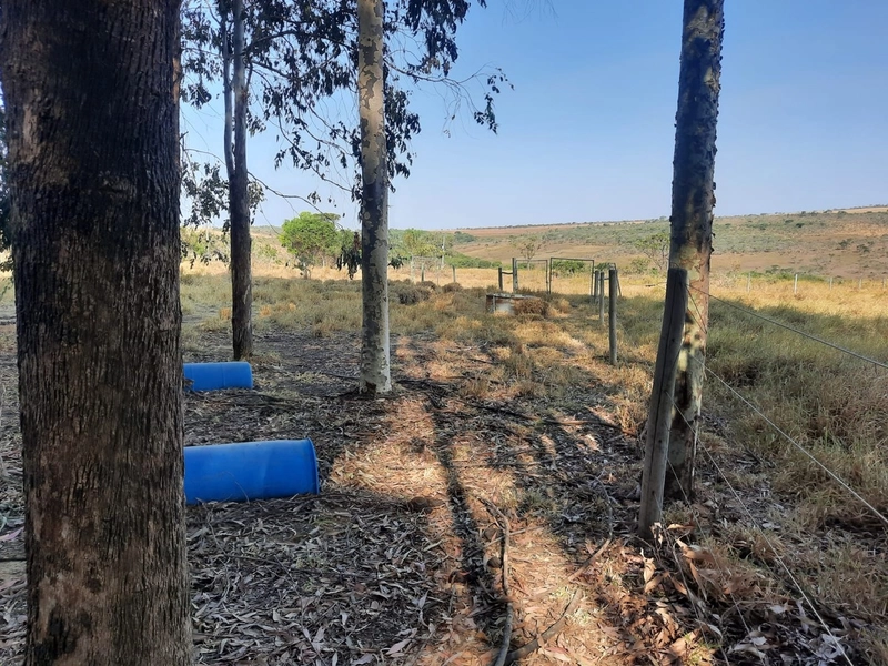 Fazenda em S.J.d’Aliança-GO/Água Fria-GO: 5ª foto da galeria de imagens do imóvel