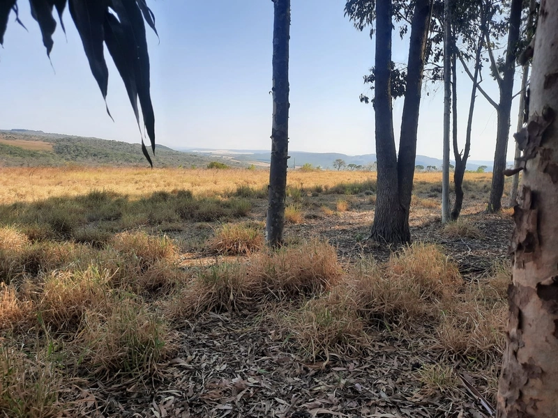 Fazenda em S.J.d’Aliança-GO/Água Fria-GO: 10ª foto da galeria de imagens do imóvel
