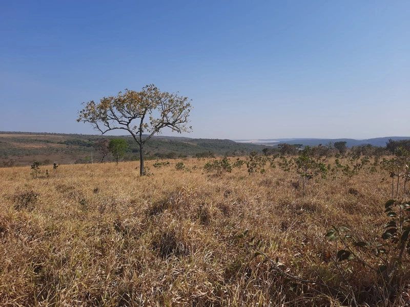 Fazenda em S.J.d’Aliança-GO/Água Fria-GO: 14ª foto da galeria de imagens do imóvel