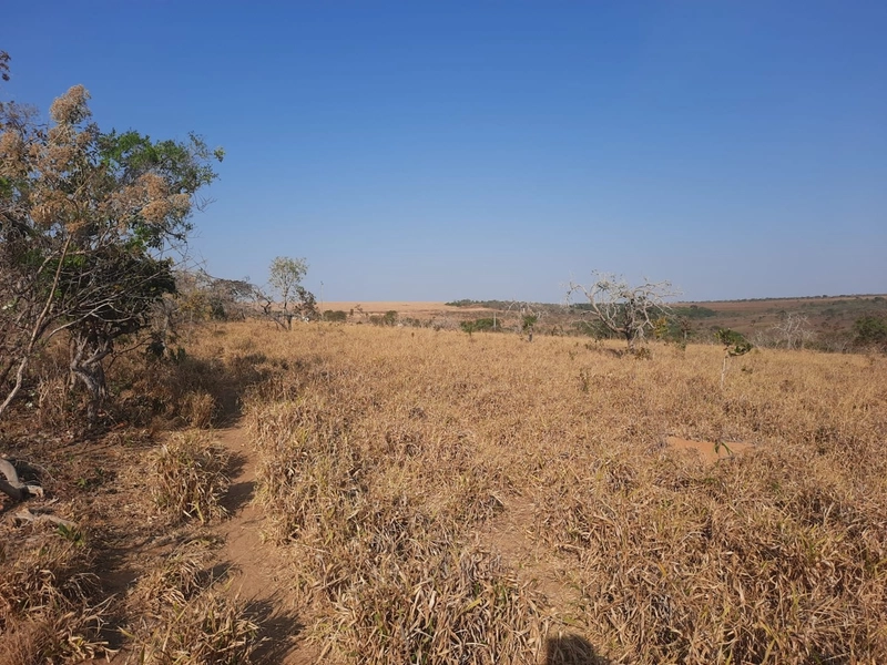 Fazenda em S.J.d’Aliança-GO/Água Fria-GO: 6ª foto da galeria de imagens do imóvel