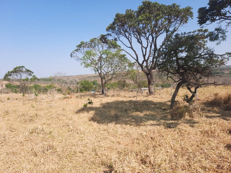Fazenda em S.J.d’Aliança-GO/Água Fria-GO: 1ª foto da galeria de imagens do imóvel