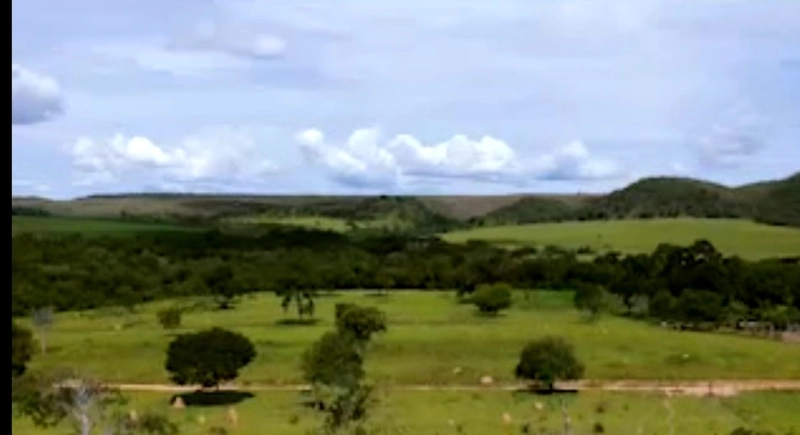 Fazenda em São J. d'Aliança-GO - 62 hectares