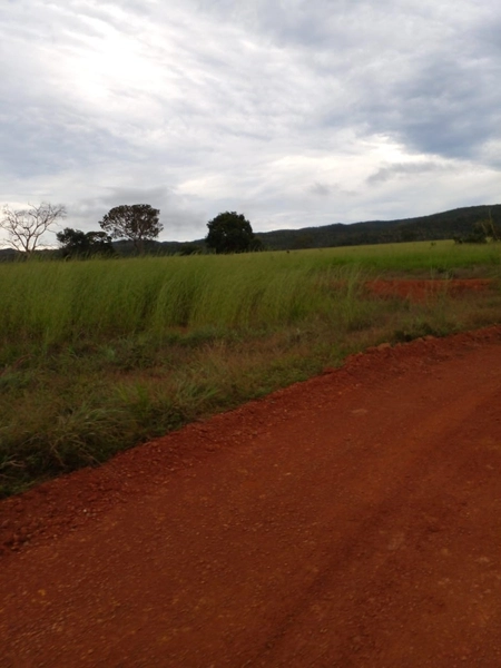Fazenda para SOJA em Nobres-MT - Área: 7.430 ha: 5ª foto da galeria de imagens do imóvel