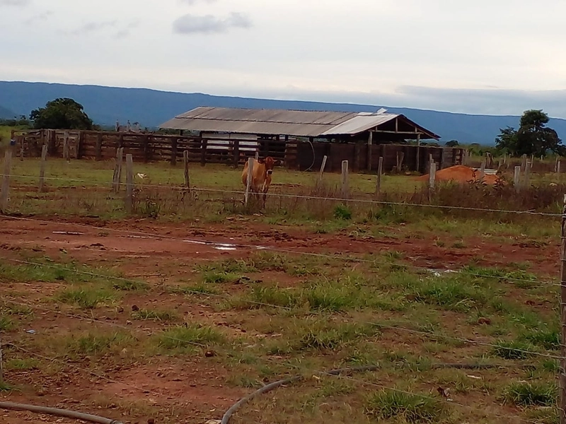 Fazenda para SOJA em Nobres-MT - Área: 7.430 ha: 4ª foto da galeria de imagens do imóvel