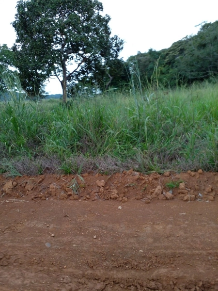 Fazenda para SOJA em Nobres-MT - Área: 7.430 ha: 3ª foto da galeria de imagens do imóvel