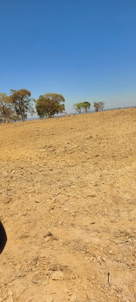 Fazenda para SOJA em Nobres-MT - Área: 7.430 ha: 9ª foto da galeria de imagens do imóvel