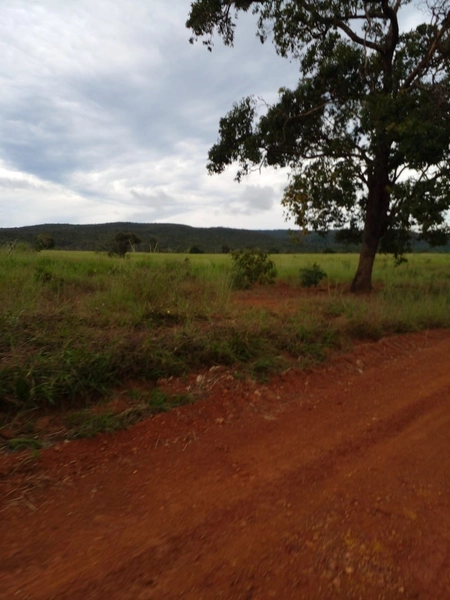 Fazenda para SOJA em Nobres-MT - Área: 7.430 ha: 6ª foto da galeria de imagens do imóvel