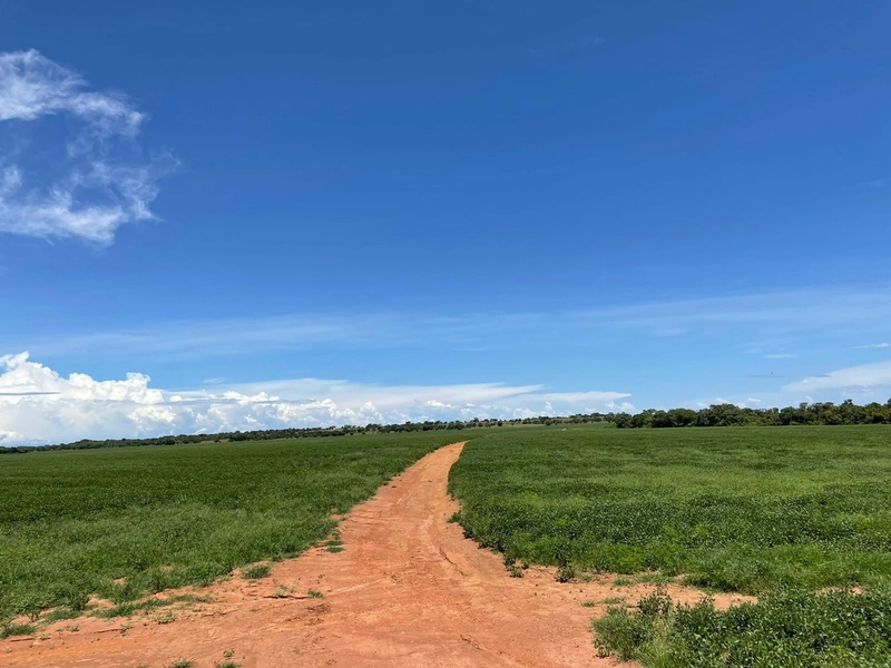 Fazenda em Formoso do Araguaia-TO. - 1.665 hectares.