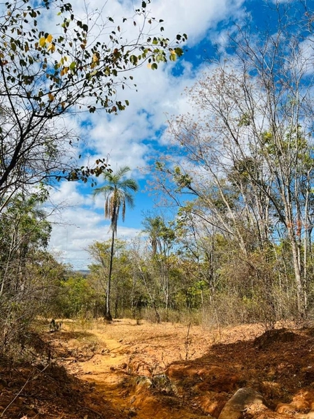 Fazenda à venda 46,49 alq. (225 Ha), em Cabeceira Grande-MG, dupla apt: 8ª foto da galeria de imagens do imóvel