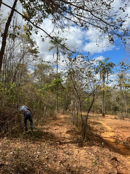Fazenda à venda 46,49 alq. (225 Ha), em Cabeceira Grande-MG, dupla apt: 7ª foto da galeria de imagens do imóvel