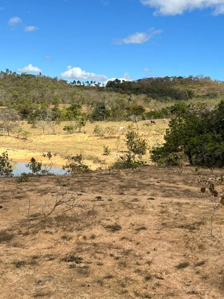 Fazenda à venda 46,49 alq. (225 Ha), em Cabeceira Grande-MG, dupla apt: 4ª foto da galeria de imagens do imóvel